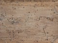 brown worm eaten wood texture background