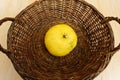 Brown woven basket with a large grapefruit at the bottom Royalty Free Stock Photo