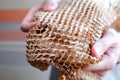 Brown wrapping paper in a fine mesh. No plastic, new packaging technology