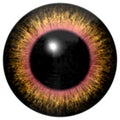 Brown yellow animal eye texture