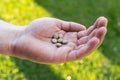 Brown and yellow Multi vitamin health pills Royalty Free Stock Photo