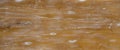 brown and yellow putty wooden texture