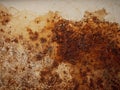 Brown and yellow rust and dirt on white enamel. Rusted brown and white abstract texture.
