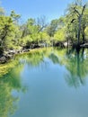 Browned out spring and spring run at Little River after the springs flooded, Little River Springs, Florida Royalty Free Stock Photo