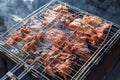 Browned pieces of meat in a metal grill on steaming coals during the preparation of barbecue in the country on May holidays.