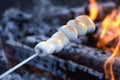 Browned soft melting marshmallows on a skewer