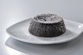 brownie cake topped with powdered sugar close-up against neutral background Royalty Free Stock Photo