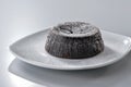 brownie cake topped with powdered sugar close-up against neutral background