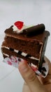 Brownies soft cake with cerry and Chocolat