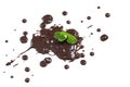 Brownish chocolate splash isolated on a white with mint leaves