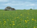 Brownshill dolmen in Ireland