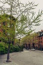 Brownstone townhouse residential street in Brooklyn Heights