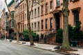 Brownstones in Brooklyn Heights, New York City Royalty Free Stock Photo