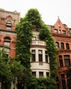 Brownstones covered in ivy, on the Upper West Side, Manhattan, New York City