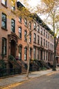 Brownstones and fall color in Brooklyn Heights, New York City Royalty Free Stock Photo