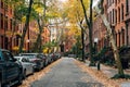 Brownstones and fall color in Brooklyn Heights, New York City Royalty Free Stock Photo