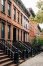 Brownstones in Greenpoint, Brooklyn, New York City Royalty Free Stock Photo