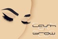 Brows and lashes lettering. Vector illustration of lashes and brows. For beauty salon, lash extensions maker, brow