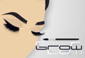 Brows and lashes lettering. Vector illustration of lashes and brows. For beauty salon, lash extensions maker, brow