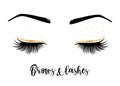 Brows and lashes lettering Royalty Free Stock Photo