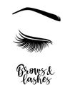 Vector illustration of brows and lashes Royalty Free Stock Photo