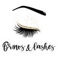 Brows and lashes logo Royalty Free Stock Photo