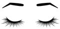 Brows and lashes. Vector illustration of lashes and brows. For beauty salon, lash extensions maker, brow master.