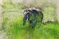 Watercolor painting of African elephants or Loxodonta cyclotis in nature