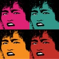 Bruce Lee Colored Vector Illustration Pop Art Style Andy Warhol Royalty Free Stock Photo