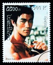 Bruce Lee Postage Stamp Royalty Free Stock Photo