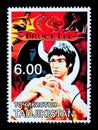 Bruce Lee Postage Stamp Royalty Free Stock Photo