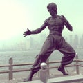 Bruce lee statue of hong kong