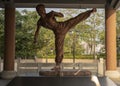 The Bruce Lee statue