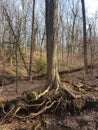 Bruce Trail, a hiking trail in southern Ontario, Canada Royalty Free Stock Photo