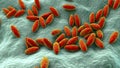 Brucella bacteria, the causative agent of brucellosis, 3D illustration Royalty Free Stock Photo