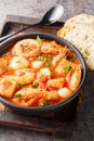 Brudet or Brodetto tasty stew of fish, seafood such as shrimps, scallops, calamari, mussels close-up in a bowl. Vertical