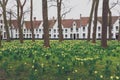 Bruges Beguinage with its colorful tulip fields and houses. Belgium Royalty Free Stock Photo