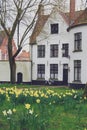 Bruges Beguinage with its colorful tulip fields and houses. Belgium Royalty Free Stock Photo