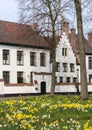 Bruges beguinage in springtime Royalty Free Stock Photo