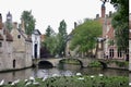 Bridge over the canal in old Brugges City centre, with Swans on the grass. Royalty Free Stock Photo