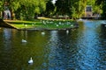 Bruges, Belgium. August 2019. The vineyard square with its park is characterized by the presence of swans: the large colony stops