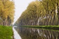 Bruges canal tree reflections Royalty Free Stock Photo