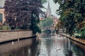 Bruges canal with white swans between old trees with Church of Our Lady in the background. Brugge, Belgium Royalty Free Stock Photo