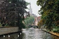 Bruges canal with white swans between old trees with Church of Our Lady in the background. Brugge, Belgium Royalty Free Stock Photo