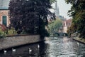 Bruges canal with white swans between old trees with Church of Our Lady in the background. Brugge, Belgium Royalty Free Stock Photo