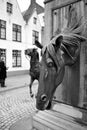 Bruges horse fountain Royalty Free Stock Photo