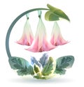 Brugmansia icon