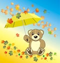 Bruin with umbrella. Autumn composition