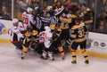 Bruins and Capitals fight