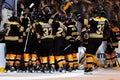 Bruins Celebrate! Royalty Free Stock Photo